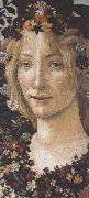 Sandro Botticelli Primavera (mk36) France oil painting artist